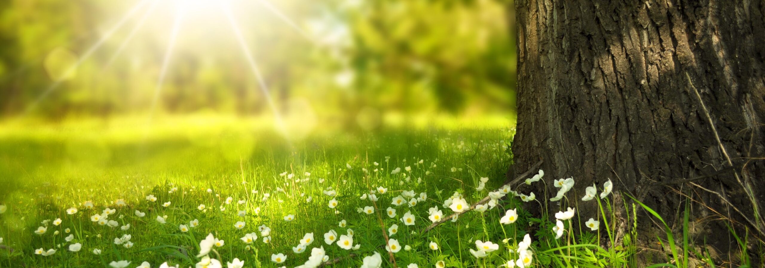 medio-ambiente-full
